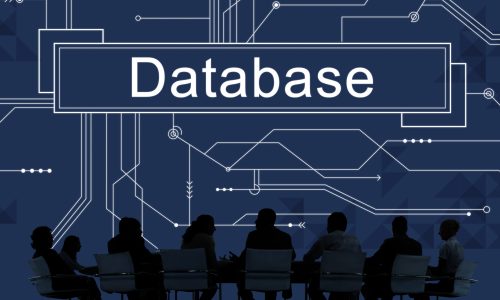 Online business database